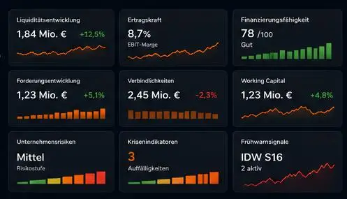 DEALS-24 Dashboard – Risiko- und Frühwarnindikatoren